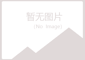 广昌县沙砾能源有限公司